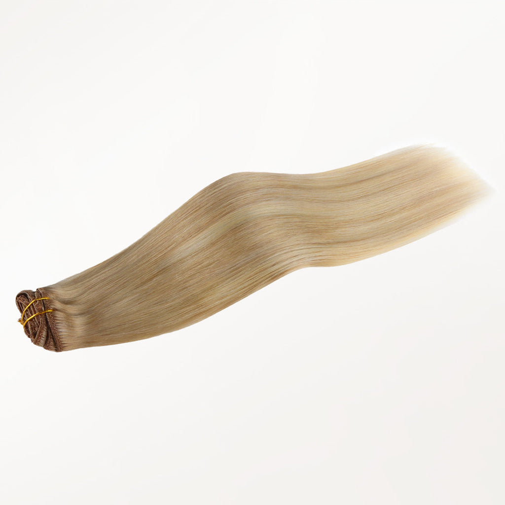 Classic Clip in Hair Extensions
